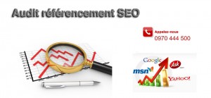 agence de référencement