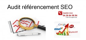 Audit de référencement Lyon