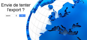 Référencement et SEO à l'internationnal