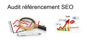 Audit de référencement à Lyon